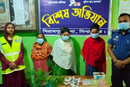 বিরামপুরে গাঁজার গাছসহ মা ও ২ মেয়ে আটক