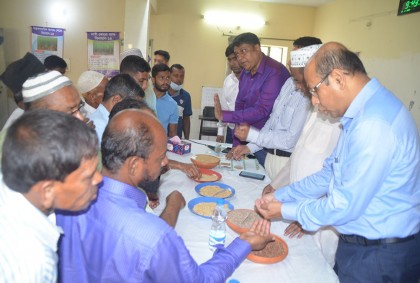 কুমিল্লার মাঠ মাতাবে কম খরচের নতুন ধান 