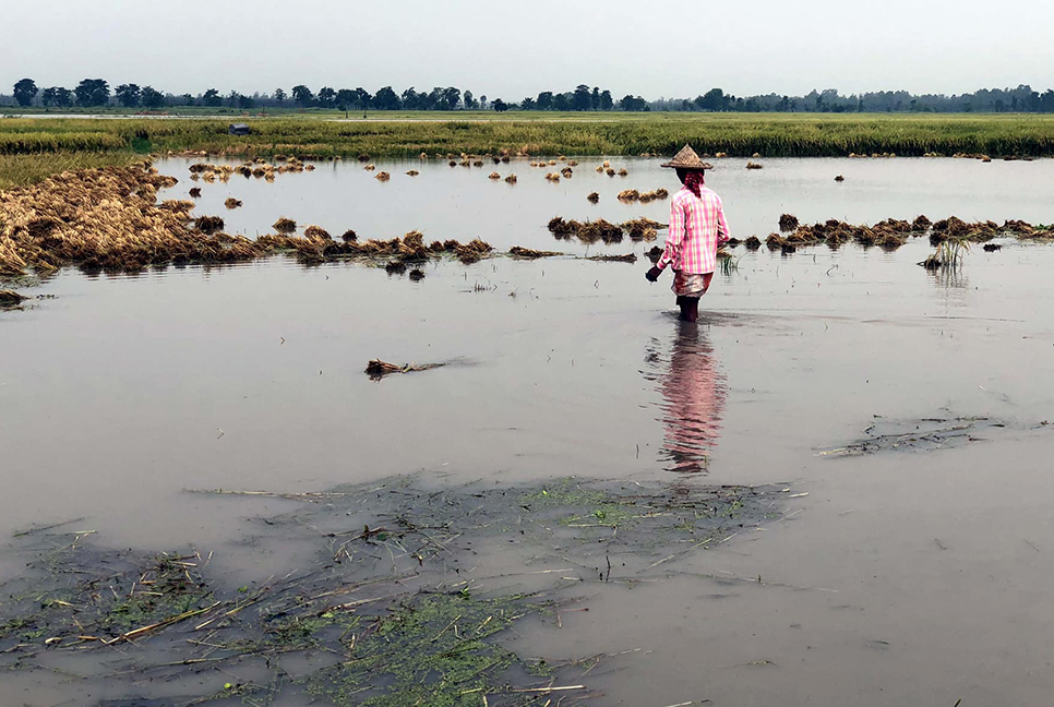 কৃষকের সোনালি স্বপ্ন পানির নিচে
