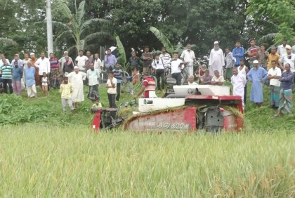 কুড়িগ্রামে শ্রমিক সংকট কাটাতে হার্ভেস্টারে শস্য কর্তন