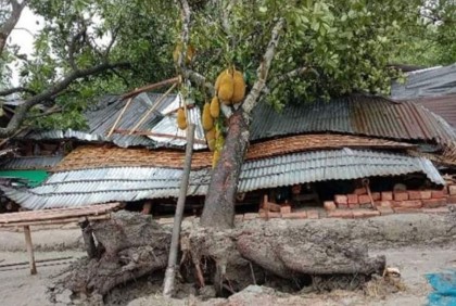 খানসামায় ঝড়ে লণ্ডভণ্ড গাছপালা, ফসলের ব্যাপক ক্ষতি