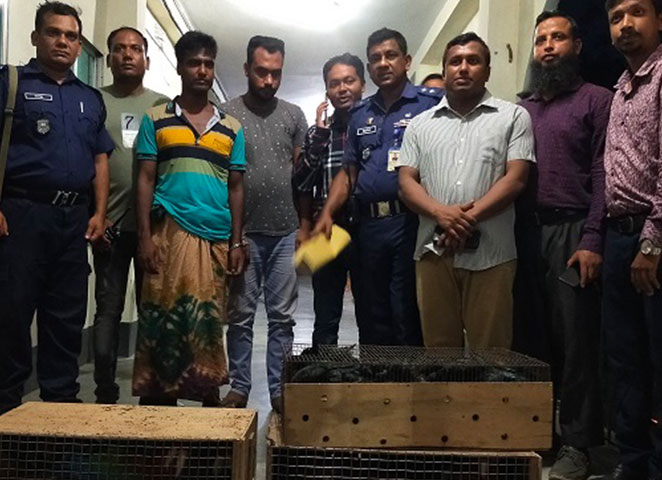 ২২ লাখ টাকার বিদেশি পাখিসহ দুইজন আটক
