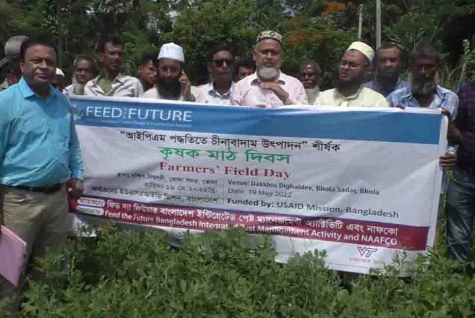 ভোলায় চীনাবাদাম উৎপাদন শীর্ষক মাঠ দিবস পালিত