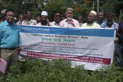 ভোলায় চীনাবাদাম উৎপাদন শীর্ষক মাঠ দিবস পালিত