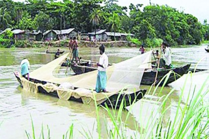 হালদা নদীতে ‘সাদা সোনার’ বিপর্যয়ের শঙ্কা