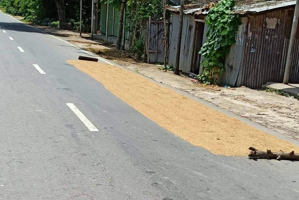 সড়কে শুকানো হচ্ছিল ধান, দুর্ঘটনায় মোটরসাইকেল আরোহী নিহতের অভিযোগ