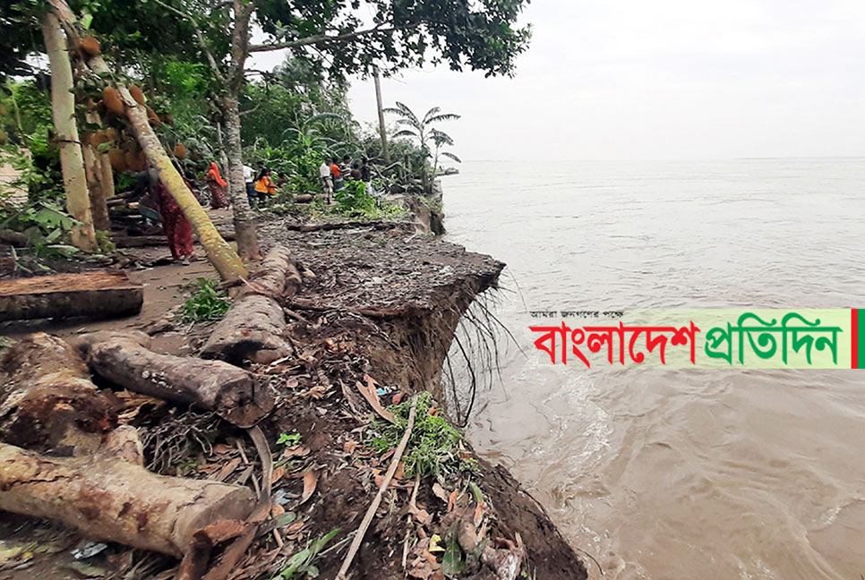 যমুনায় ভাঙন বেড়েছে, পাঁচ শতাধিক ঘরবাড়ি বিলীন