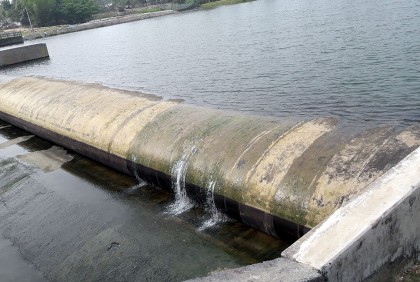 রাবার ড্যামে ভাগ্য বদলেছে কৃষকের, ধান ও ভুট্টার বাম্পার ফলন