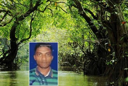 সুন্দরবনে বাঘের আক্রমণে মৌয়াল নিহত