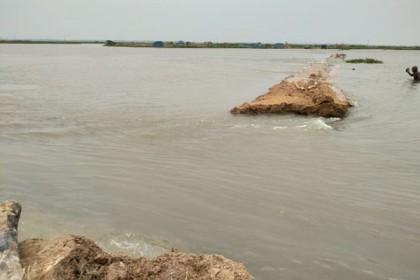 গোমস্তাপুরে বাঁধ ভেঙে শত শত বিঘা জমির বোরো ধান পানির নিচে