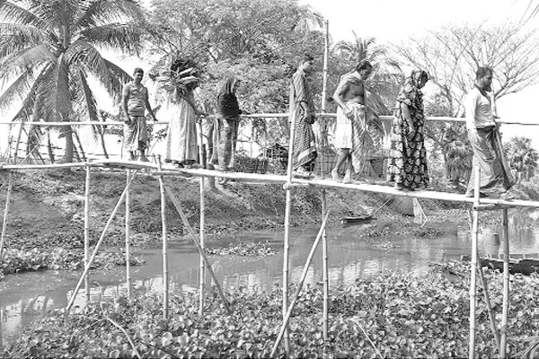 ভরসা বাঁশের সাঁকো