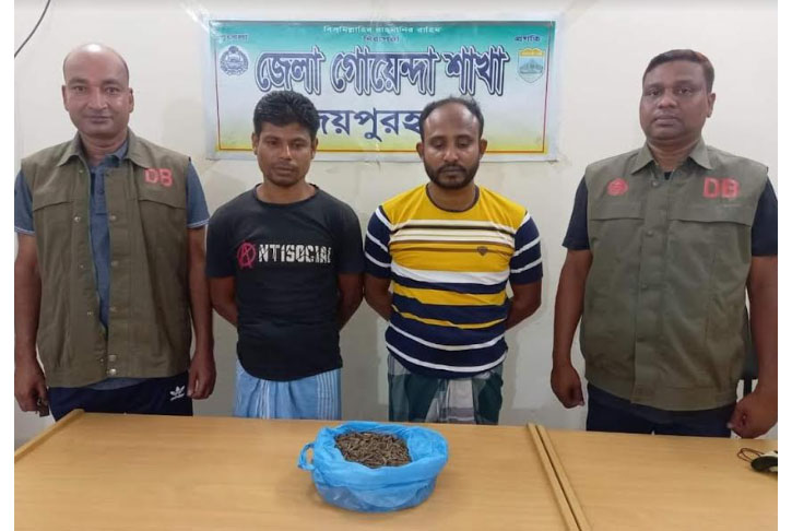 জয়পুরহাটে গাঁজাসহ দুই মাদক কারবারি গ্রেফতার