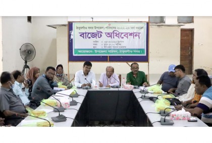 ঠাকুরগাঁও সদর উপজেলার বাজেট ঘোষণা