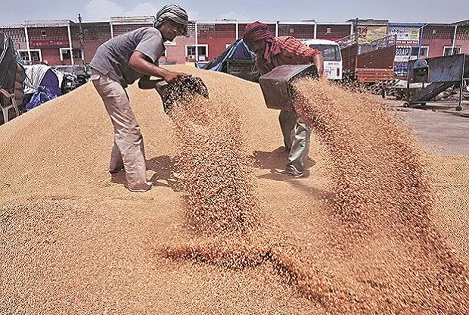 বন্ধুত্বপূর্ণ দেশগুলোতে গম রফতানি অব্যাহত রাখবে ভারত


