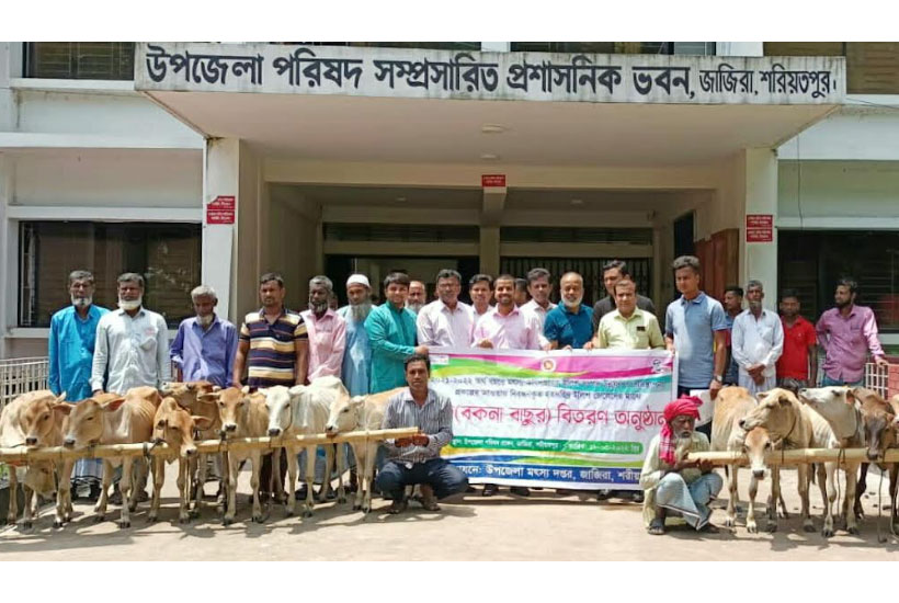 জাজিরার ৩০ জেলে পেলো গরুর বাছুর ও ভ্যান উপহার