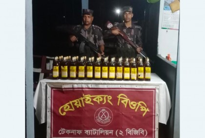 টেকনাফে বিপুল পরিমাণ মাদকদ্রব্য জব্দ