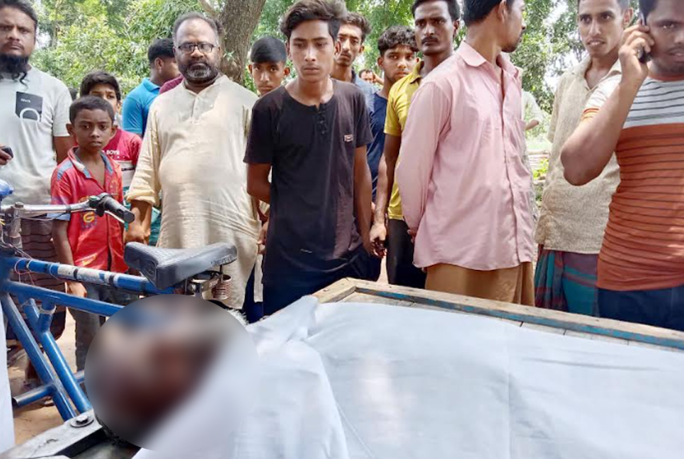 আম পাড়তে এসে বিদ্যুৎস্পৃষ্টে প্রাণ গেল শ্রমিকের 