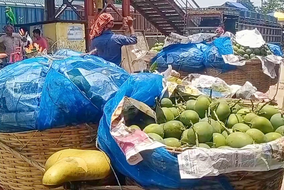 রহনপুরে আম বেচাকেনা শুরু