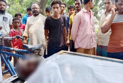 আম পাড়তে এসে বিদ্যুৎস্পৃষ্টে প্রাণ গেল শ্রমিকের 