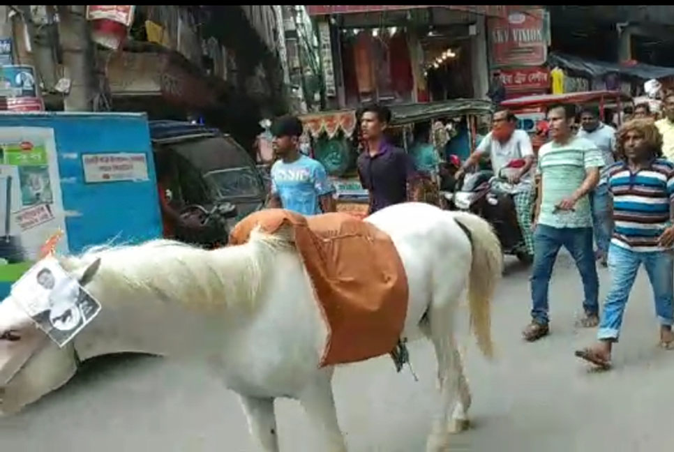 নির্বাচনী প্রচারণায় জীবন্ত ঘোড়া, মেয়র প্রার্থীকে জরিমানা 