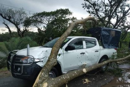 ঝড়ে গাছের চাপায় অল্পতে প্রাণে রক্ষা ইউএনও’র