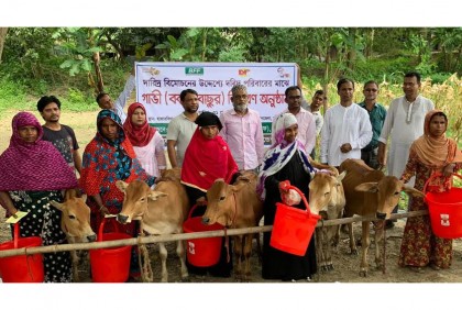 ফরিদপুরে গ্রামীণ নারীদের স্বাবলম্বী করতে বাছুর বিতরণ