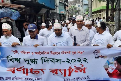 বরগুনায় বিশ্ব দুগ্ধ দিবস পালিত