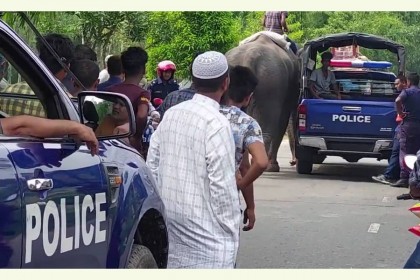 হাতি দিয়ে চাঁদাবাজি, মাহুতের কারাদণ্ড