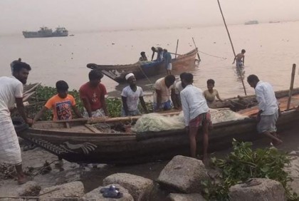রায়পুরের মেঘনা নদীতে মিলছে না ইলিশ!