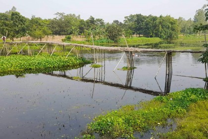 নদীর উপর বাঁশের সাঁকোই ভরসা 