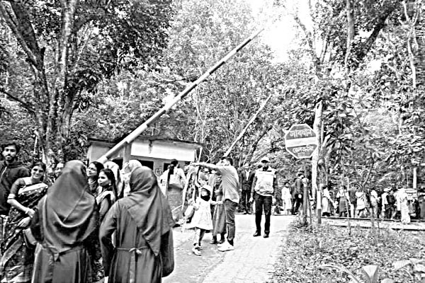বিপর্যয়ে লাউয়াছড়া জাতীয় উদ্যান