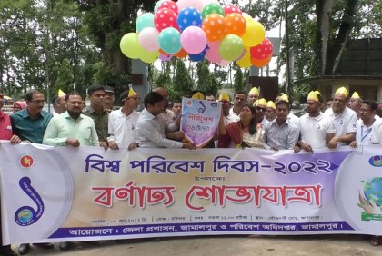 জামালপুরে বিশ্ব পরিবেশ দিবস পালিত