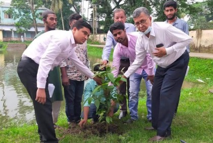 
কটিয়াদীতে নানা আয়োজনে পরিবেশ দিবস পালিত
