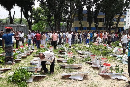 সিংড়ায় পারিবারিক পুষ্টি বাগানের উপকরণ বিতরণ