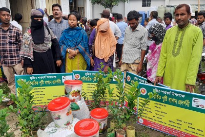 সখীপুরে ‘পারিবারিক পুষ্টি বাগান প্রদর্শনী’র সার বীজ বিতরণ