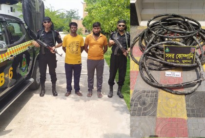 বিদ্যুৎ কেন্দ্রের তার চুরি, গ্রেফতার ২