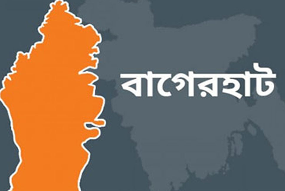 কর্মবিরতিতে অচল মোংলা বন্দর, পণ্য খালাস বন্ধ
