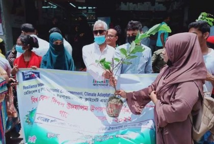 বরগুনায় বিশ্ব পরিবেশ দিবস উপলক্ষে গাছের চারা রোপণ