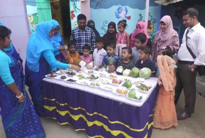 ঝিনাইদহে দিনব্যাপী ফল উৎসব