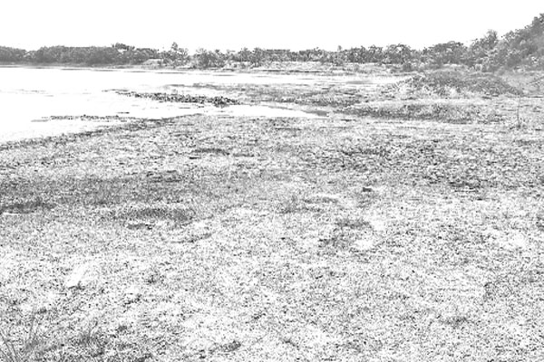 মোংলায় সুপেয় পানির সংকট