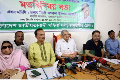 পৃথিবীর কোথাও এতো ব্যয়বহুল সেতু নেই: মির্জা ফখরুল