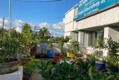নেত্রকোনায় জনপ্রিয় হয়ে উঠছে ছাদ বাগান