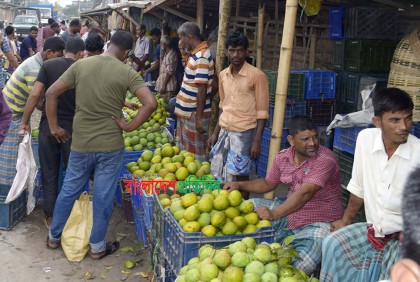 হারিয়ে গেছে ‘৩৬ গণ্ডায় একশ’ 
আম কেনা-বেচার প্রচলন
