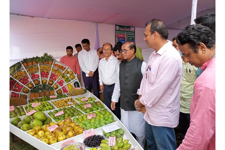 রংপুরে বাহারি ফলের 
মেলা