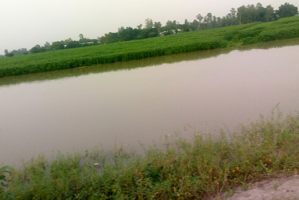 বগুড়ায় যমুনা নদীর পানি বৃদ্ধি পেয়ে নিম্নাঞ্চল প্লাবিত