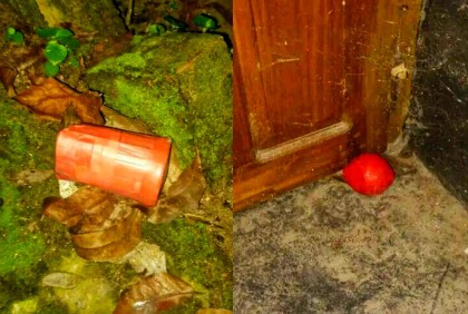 বগুড়ায় আওয়ামী লীগ নেতার বাড়িতে ককটেল হামলা