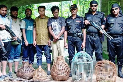শ্রীমঙ্গলে ফাঁদসহ শিকারি পাখি উদ্ধার