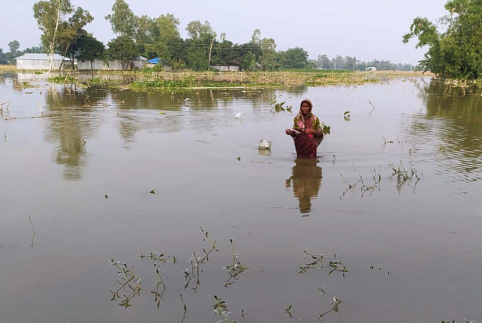 লালমনিরহাটে খাদ্য ও বিশুদ্ধ পানির সংকটে ৩০ হাজার মানুষ
