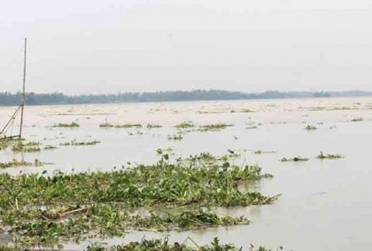 বেড়েছে যমুনা নদীর পানি 