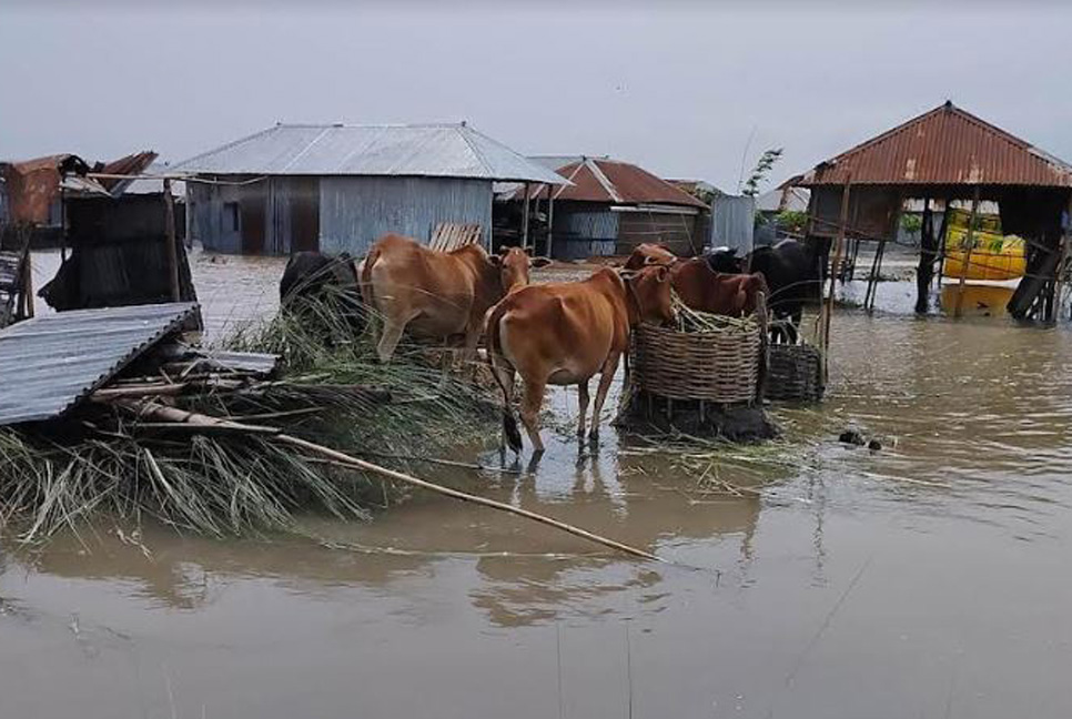 কুড়িগ্রামে দেড় লক্ষাধিক বানভাসীর দুর্ভোগ চরমে